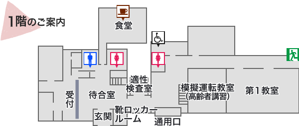 1階のご案内 ・食堂 ・受付 ・待合室 ・玄関 ・靴ロッカールーム ・適性検査室 ・託児室 ・模擬運転教室（高齢者講習） ・第1教室